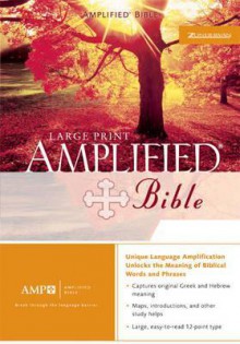 Amplified Bible Large Print, Purple Silver Gilding Jmm - Anonymous