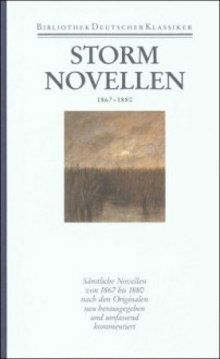 Novellen 1867-1880 - Theodor Storm, Karl E. Laage, Dieter Lohmeier