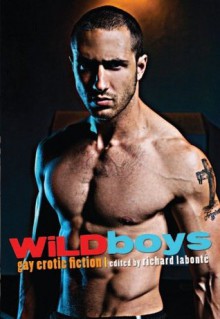 Wild Boys: Gay Erotic Fiction - Richard Labonté