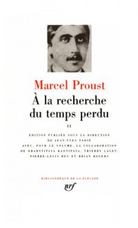 À la recherche du temps perdu, Tome II (Reliure Peau) - Marcel Proust, Jean-Yves Tadié