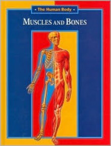 Muscles and Bones - Andreu Llamas