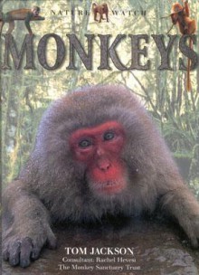 Monkeys (Nature Watch) - Tom Jackson