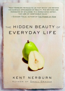 The Hidden Beauty of Everyday Life - Kent Nerburn