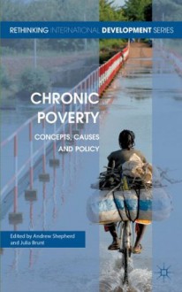 Chronic Poverty: Concepts, Causes and Policy (Rethinking International Development series) - Andrew Shepherd, Julia Brunt
