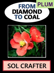 From Diamond to Coal 01 (From Diamond to Coal, #1) - Sol Crafter, Harper Kingsley