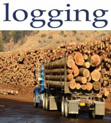 Logging - Jeremy Lewis