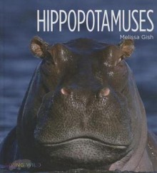 Hippopotamuses - Melissa Gish