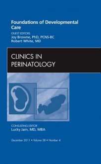 Foundations of Developmental Care, an Issue of Clinics in Perinatology - Robert L. White, Joy Browne