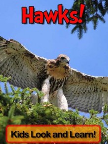 Hawks! Learn About Hawks and Enjoy Colorful Pictures - Look and Learn! (50+ Photos of Hawks) - Becky Wolff