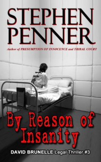 By Reason of Insanity (David Brunelle Legal Thriller #3) - Stephen Penner