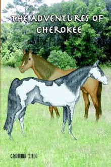 The Adventures of Cherokee - Nancy Johnson