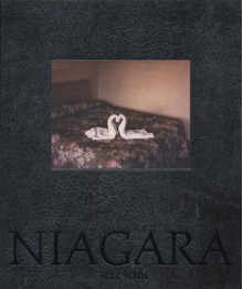 Niagara - Alec Soth, Richard Ford, Philip Brookman