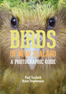 Birds of New Zealand: A Photographic Guide - Paul Scofield, Brent Stephenson