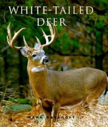 White-Tailed Deer - Mark Raycroft