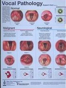 Vocal Pathology I - C. Richard Stasney, Robert O'Brien