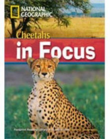 Cheetah Chase!: 2200 Headwords - Rob Waring