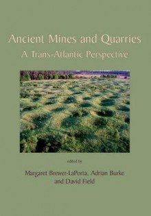 Ancient Mines and Quarries: A Trans-Atlantic Perspective - Adrian Burke, David Field, Margaret Brewer-LaPorta