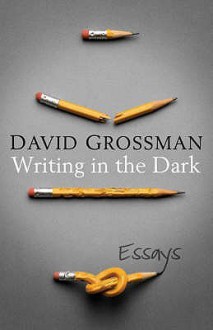 Writing In The Dark - David Grossman