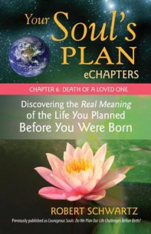 Your Soul's Plan eChapters - Chapter 6: Death of a Loved One: Discovering the Real Meaning of the Life You Planned Before You Were Born - Robert Schwartz