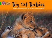 Big Cat Babies: Band 05 - Jonathan Scott