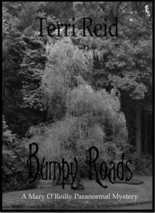 Bumpy Roads - Terri Reid