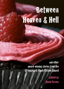 Between Heaven and Hell - David Vernon