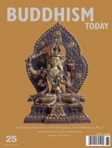 Buddhism Today 25 | Spring/Summer 2010 - Caty Hartung, Manfred Seegers, Trinley Thaye Dorje, Lama Ole Nydahl, Buddhism Today, Jonathan Bradley, Kenn Maly