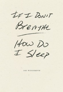 If I Don't Breathe How Do I Sleep - Joe Wenderoth