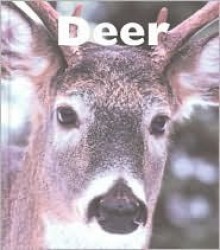 Deer - Mary Berendes