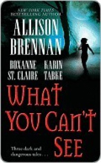 What You Can't See (Includes: Bullet Catcher, #8; Seven Deadly Sins Prequel) - Allison Brennan, Roxanne St. Claire, Karin Tabke