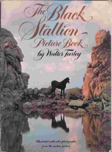 The Black Stallion Picture Book - Walter Farley