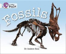 Fossils: Band 10 - Andrew Ross