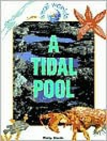 A Tidal Pool - Philip Steele