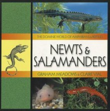 Newts & Salamanders - Graham Meadows