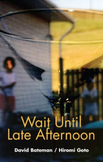 Wait Until Late Afternoon - David Bateman