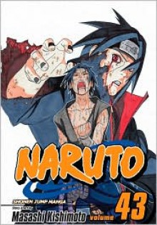 Naruto, Vol. 43: The Man with the Truth (Naruto, #43) - Masashi Kishimoto