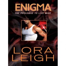 Enigma - Lora Leigh