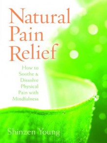 Natural Pain Relief - Shinzen Young