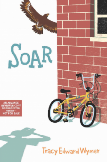 Soar - Tracy Edward Wymer