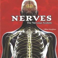 Nerves: The Nervous System - Gillian Houghton