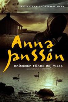 Drömmen förde dej vilse (Maria Wern, #11) - Anna Jansson