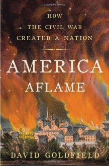 America Aflame: How the Civil War Created a Nation - David Goldfield