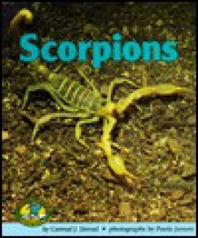 Scorpions - Conrad J. Storad