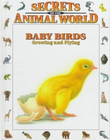 Baby Birds: Growing And Flying (Secrets Of The Animal World) - Eulalia Garcia