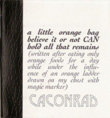 a little orange bag believe it or not CAN hold all that remains (written after eating only orange foods for a day while under the influence of an orange ladder drawn on my chest with magic marker) - C.A. Conrad