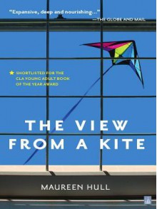 The View from a Kite - Maureen Hull