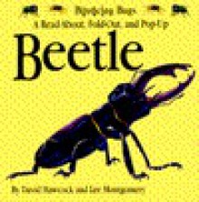 BEETLE (Bouncing Bugs) - David Hawcock