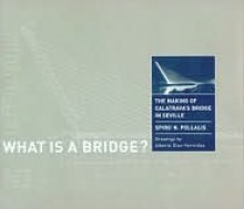 What is a Bridge?: The Making of Calatrava's Bridge in Seville - Spiro N. Pollalis, Alberto Diaz-Hermidas