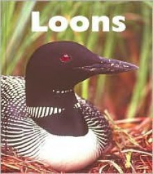 Loons - Patrick Merrick