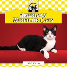 American Wirehair Cats - Jill C. Wheeler